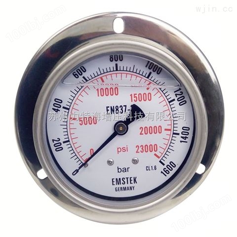高压压力表TY-300型号表