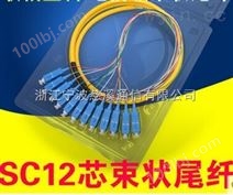 12芯束状尾纤SC方头FC圆头单模光纤跳纤电信级可订做ST-LC工厂