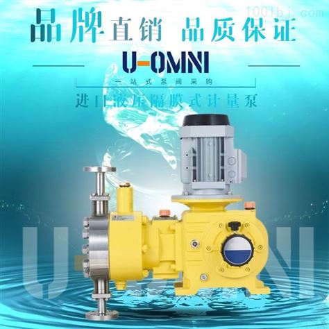 液压隔膜式计量泵-美国进口欧姆尼U-OMNI