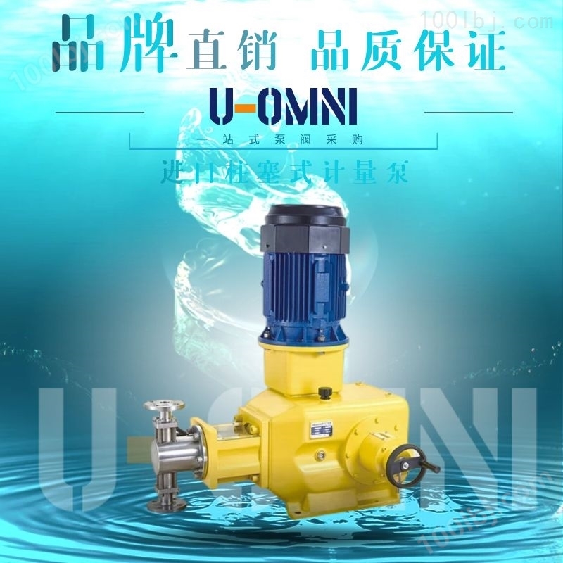 进口柱塞式计量泵--美国欧姆尼U-OMNI