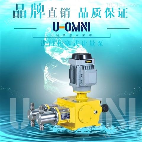 液压隔膜式计量泵-美国进口欧姆尼U-OMNI