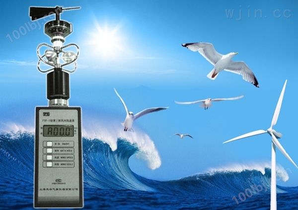 数字式风向风速仪（带变送器）、FYF-B风向风速仪