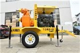 TO300PM300立方自然吸气款柴油泵品牌大泽勭力